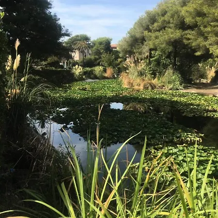 Apartment Grand Large - Joli T2 Dans Le Domaine De La Coudouliere Avec Piscine Et Tennis Mae-9701 *